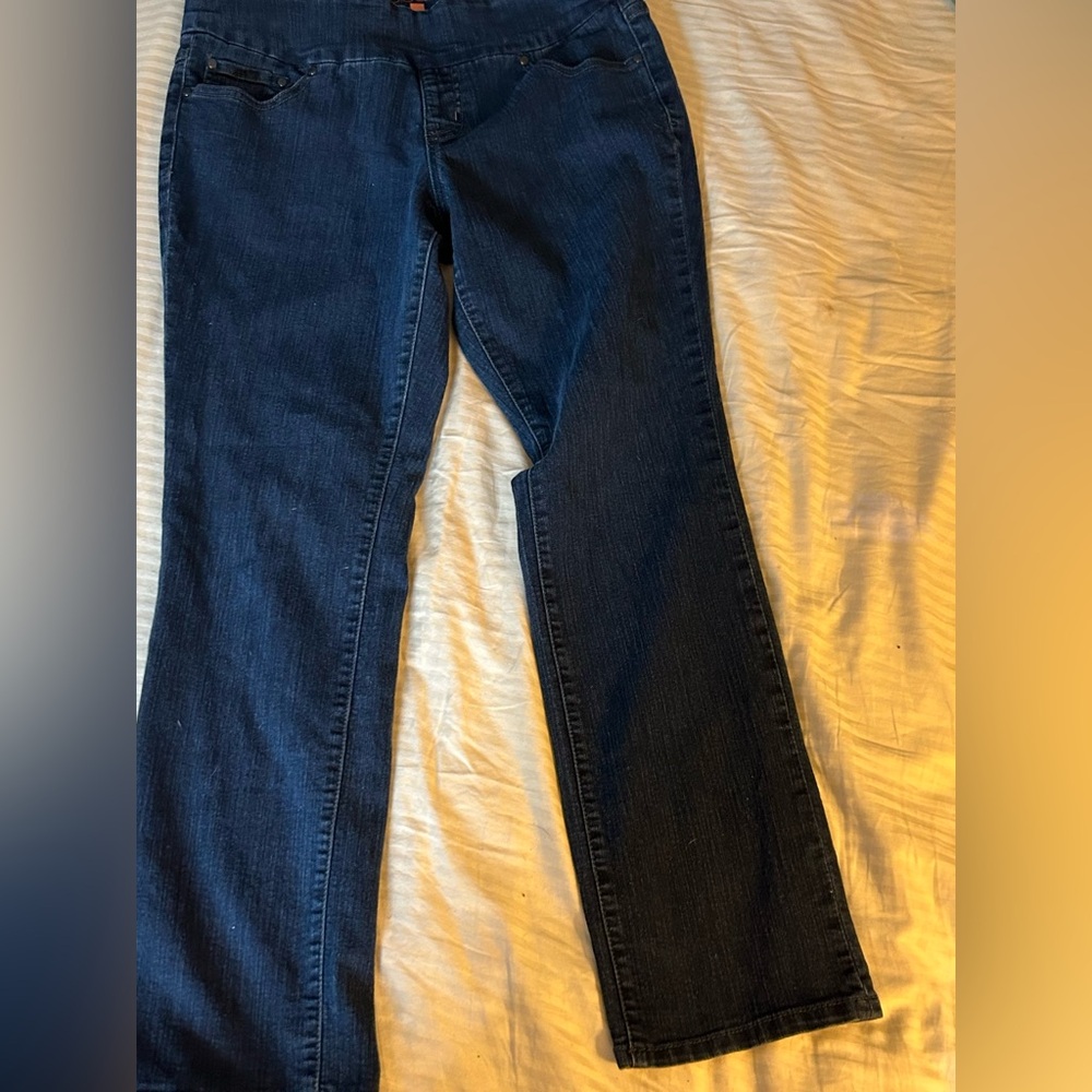 Jag medium wash high rise straight leg pull on jeans size 10 petite